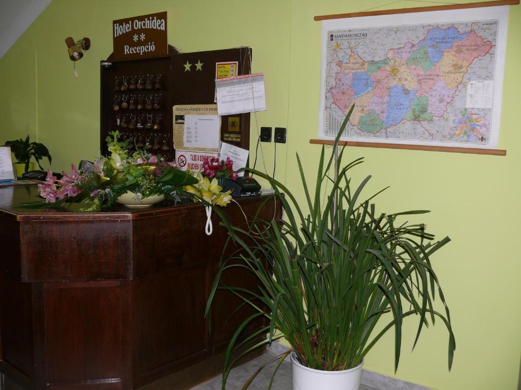 Hotel Orchidea Balastya Exterior photo